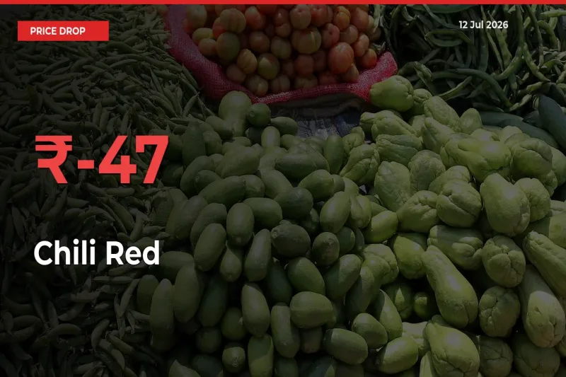 Chili Red Mandi Rate Today: Prices Fall 47.24% at Market