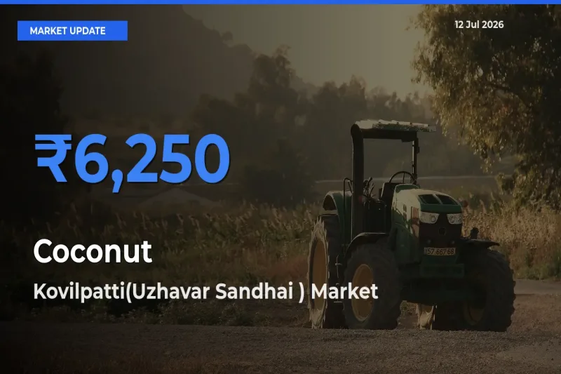 Kovilpatti(Uzhavar Sandhai ) Emerges as Top Mandi for Coconut Prices Today