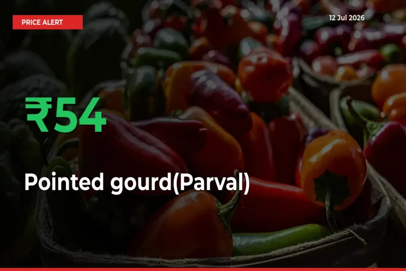 Pointed gourd(Parval) Mandi Rate Today: Prices Jump 54.14% at Market