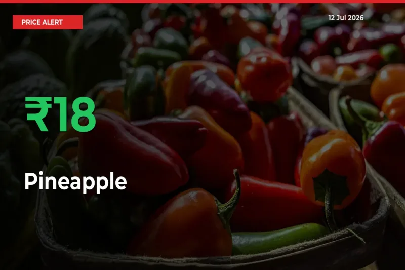 This Mandi Records 17.98% Jump in Pineapple Prices