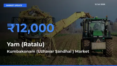 Market Watch: Kumbakonam (Uzhavar Sandhai ) Becomes Top Mandi for Yam (Ratalu)