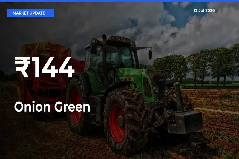 Onion Green Prices Gain Momentum Across 144+ Mandis – Market Trend Strengthens