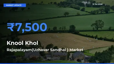 Rajapalayam(Uzhavar Sandhai ) Leads as Top Mandi for Knool Khol Prices