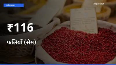 फलियाँ (सेम) का ट्रेंड कई मंडियों में साफ