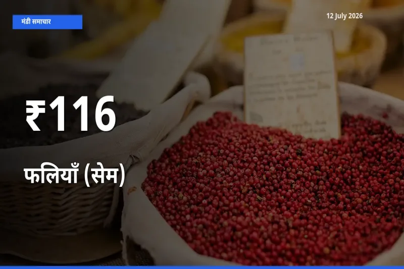 फलियाँ (सेम) का ट्रेंड कई मंडियों में साफ
