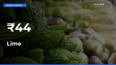 Lime Trend Strengthens Across Major Mandis