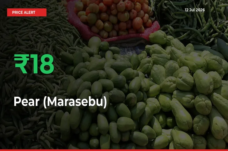 Sudden 18.05% Rally in Pear (Marasebu) Prices Across Mandis