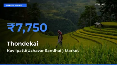 Kovilpatti(Uzhavar Sandhai ) Emerges as Top Mandi for Thondekai Prices Today