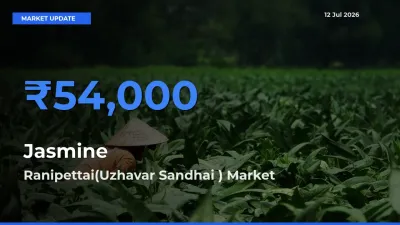 Ranipettai(Uzhavar Sandhai ) Records Highest ₹54,000 Rate for Jasmine