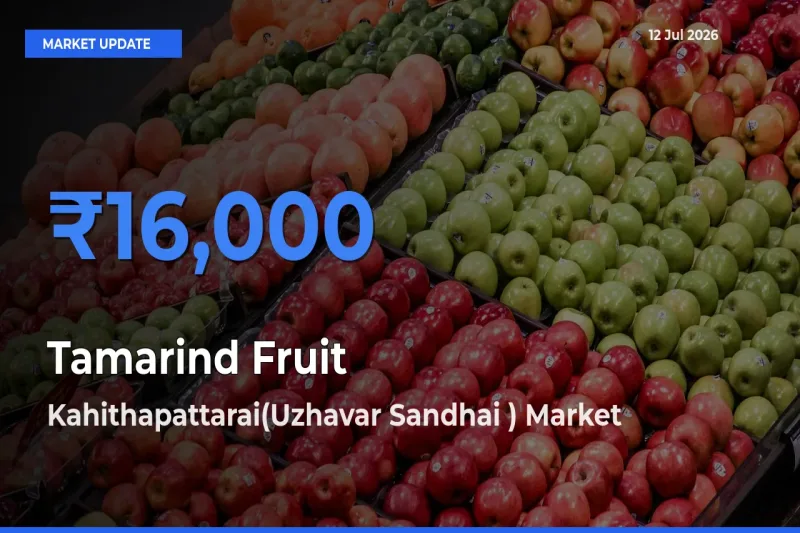 Top Performer! Kahithapattarai(Uzhavar Sandhai ) Offers Best Tamarind Fruit Price Today