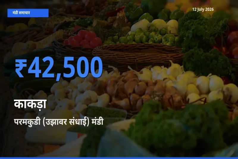 टॉप मंडी बना परमकुडी (उझावर संधाई)! काकड़ा के सबसे ऊँचे दाम यहीं दर्ज