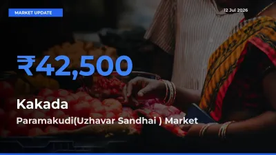 Paramakudi(Uzhavar Sandhai ) Offers ₹42,500 – Highest Kakada Rate Today