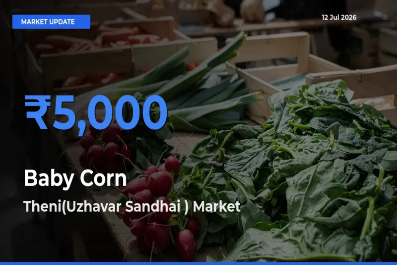 Baby Corn Mandi Rate Today: Theni(Uzhavar Sandhai ) Tops the List