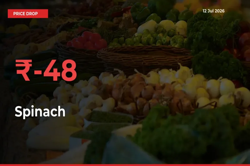 Spinach Mandi Rate Today: Prices Fall 48.36% at Market