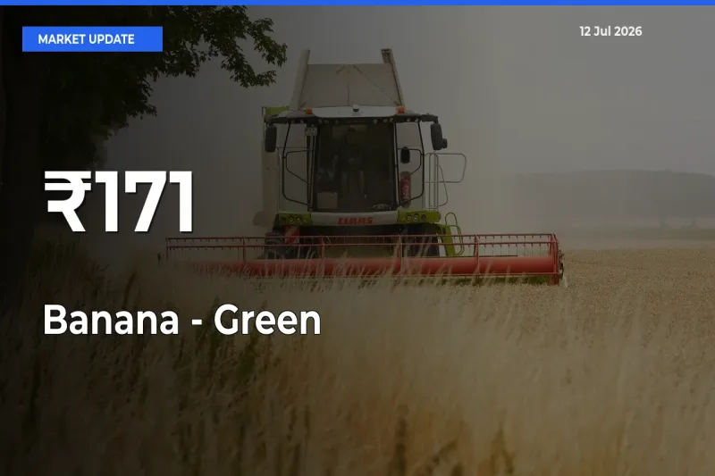 Why Banana - Green Prices Are Moving Across Multiple Mandis Today