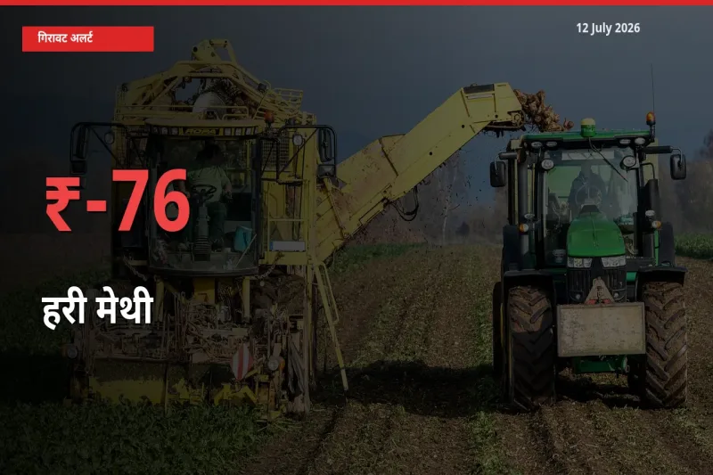 बाज़ार संकेत: हरी मेथी के भाव मंडी में 75.76% नीचे