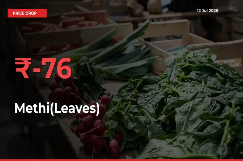 75.76% Drop in Methi(Leaves) Prices – Mandi Sees Sudden Fall