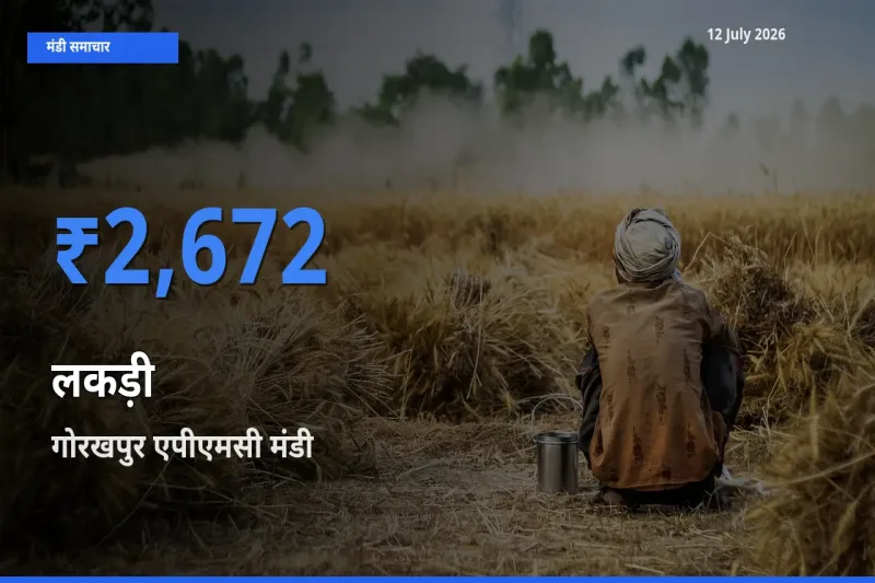 किसानों की पसंद बना गोरखपुर एपीएमसी, लकड़ी के सबसे अच्छे दाम