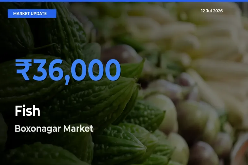 Boxonagar Records Highest ₹36,000 Rate for Fish