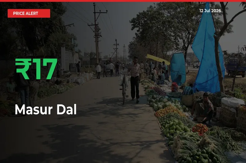 Masur Dal Mandi Rate Today: Prices Jump 16.52% at Market