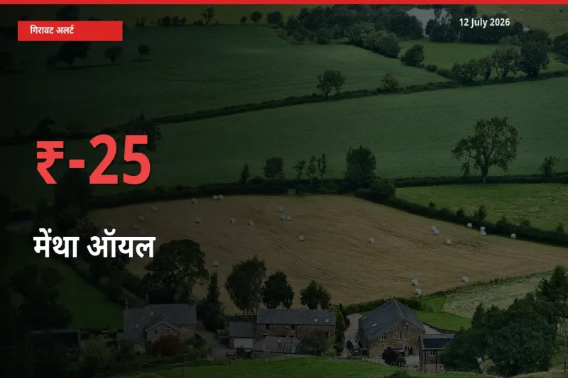 स्थानीय मंडी में मेंथा ऑयल के दाम अचानक 24.99% गिरे, किसानों की चिंता बढ़ी
