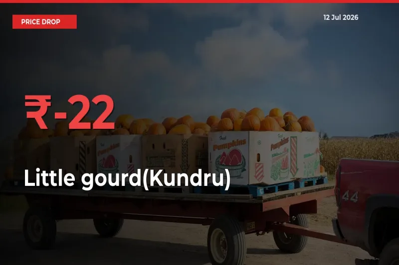Little gourd(Kundru) Falls 22.19% at Mandis