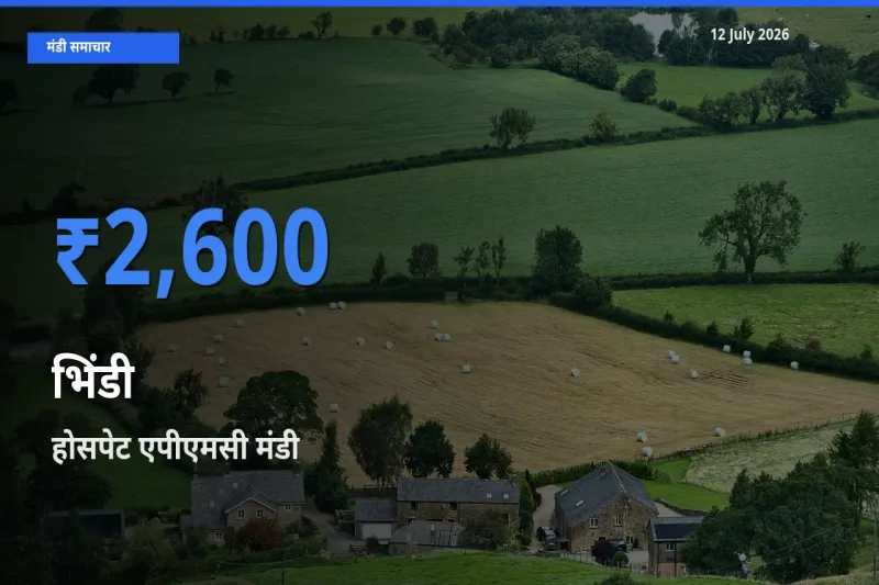 आज भिंडी के सबसे ऊँचे दाम ₹2,600 होसपेट एपीएमसी मंडी में