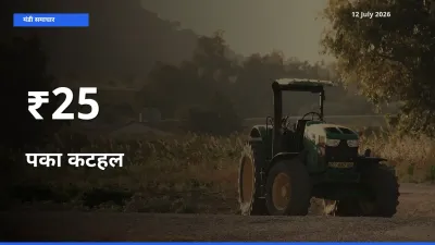 12 July अपडेट: पका कटहल के दाम कई मंडियों में एक जैसा रुझान