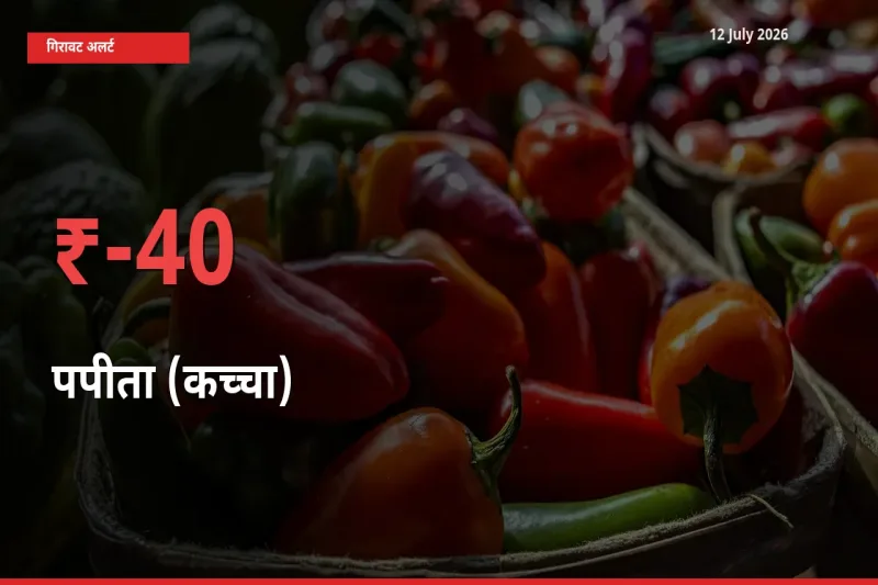 आज का मंडी भाव: पपीता (कच्चा) के दाम मंडी में 39.76% नीचे