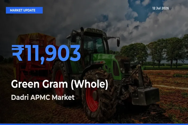 Dadri APMC Records Highest ₹11,903 Rate for Green Gram (Whole)