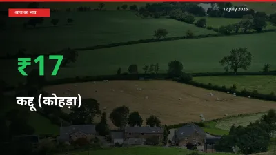 बाज़ार संकेत: कद्दू (कोहड़ा) के भाव मंडी में 17.26% ऊपर
