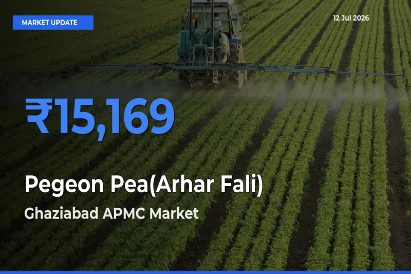 Pegeon Pea(Arhar Fali) Mandi Rate Today: Ghaziabad APMC Tops the List