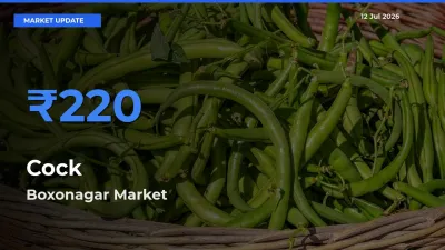 Boxonagar Offers ₹220 – Highest Cock Rate Today