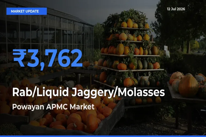 Powayan APMC Emerges as Top Mandi for Rab/Liquid Jaggery/Molasses Prices Today
