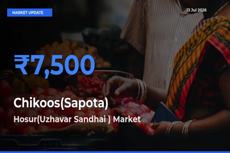 Hosur(Uzhavar Sandhai ) Tops Chikoos(Sapota) Mandi Rates Today
