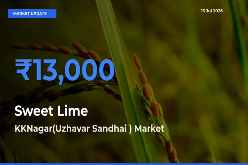 KKNagar(Uzhavar Sandhai ) Records Highest ₹13,000 Rate for Sweet Lime