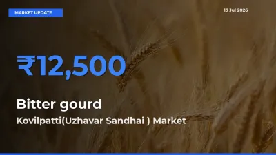 Kovilpatti(Uzhavar Sandhai ) Leads as Top Mandi for Bitter gourd Prices