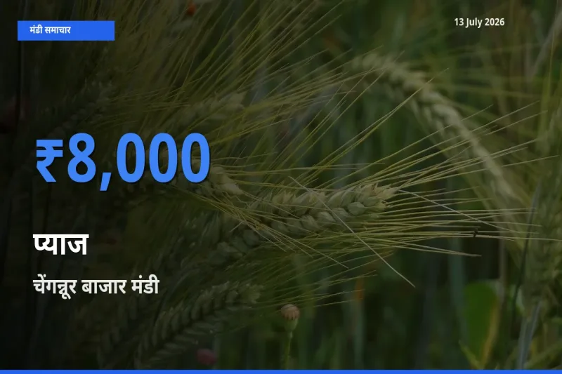 आज प्याज के सबसे ज़्यादा दाम चेंगन्नूर बाजार मंडी में दर्ज