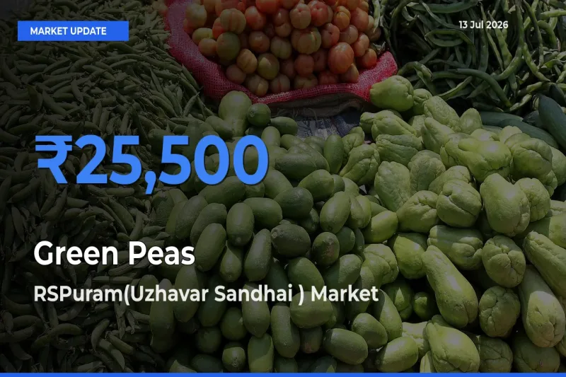 RSPuram(Uzhavar Sandhai ) Records Highest ₹25,500 Rate for Green Peas