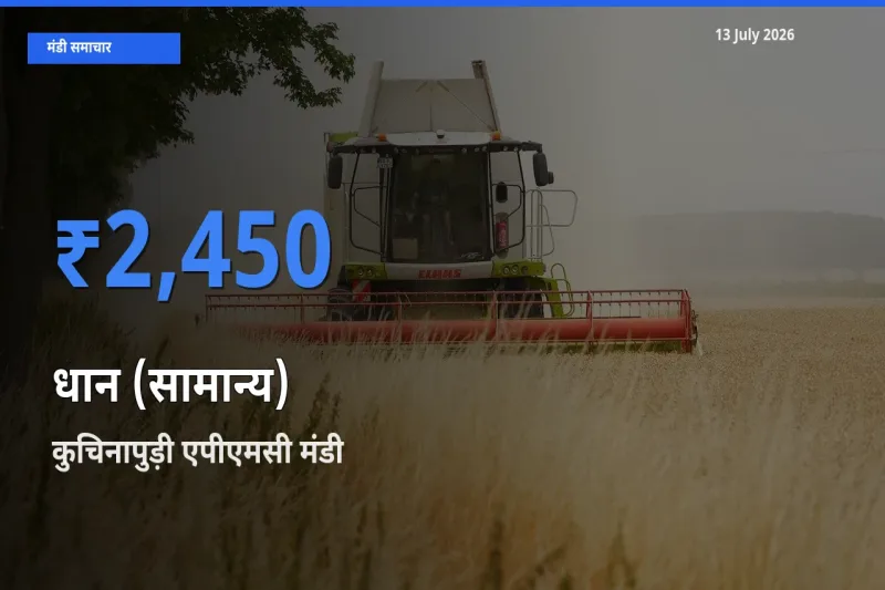 13 July अपडेट: धान (सामान्य) के सबसे ऊँचे दाम कुचिनापुड़ी एपीएमसी मंडी में