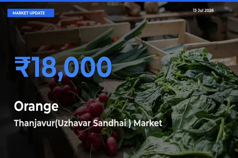 Orange Mandi Rate Today: Thanjavur(Uzhavar Sandhai ) Tops the List