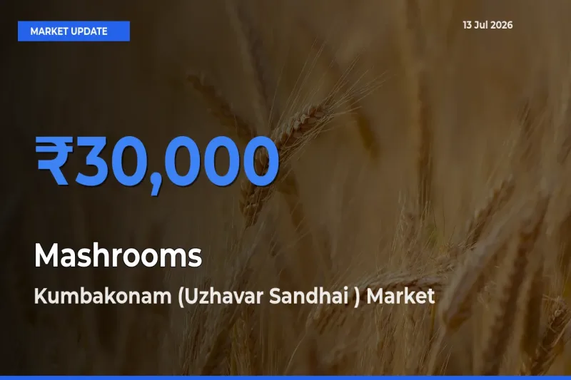 Kumbakonam (Uzhavar Sandhai ) Offers ₹30,000 – Highest Mashrooms Rate Today
