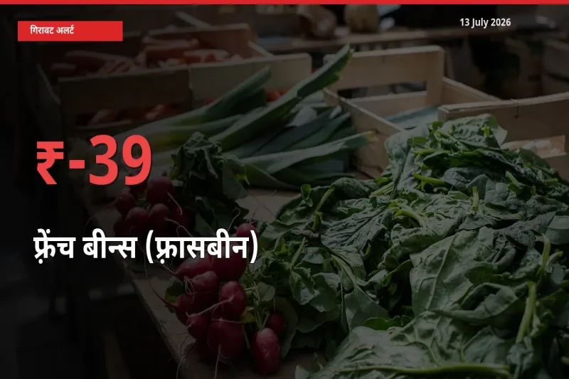 39% की गिरावट! मंडी में फ़्रेंच बीन्स (फ़्रासबीन) के दाम अचानक टूटे