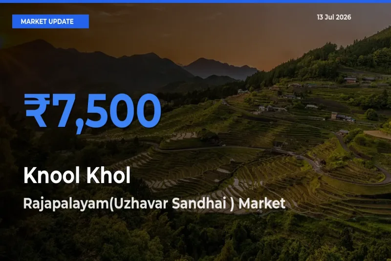 Rajapalayam(Uzhavar Sandhai ) Tops Knool Khol Mandi Rates Today