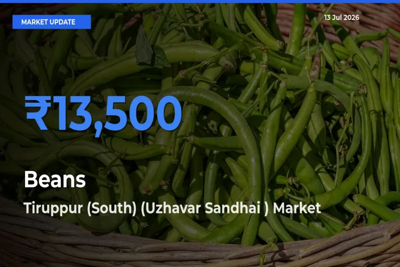 Tiruppur (South) (Uzhavar Sandhai ) Emerges as Top Mandi for Beans Prices Today