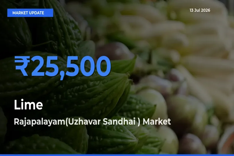 Lime Mandi Rate Today: Rajapalayam(Uzhavar Sandhai ) Tops the List