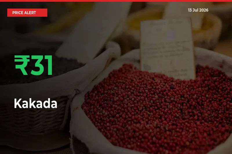 Why Kakada Prices Rose 31.37% in a Day at Mandis