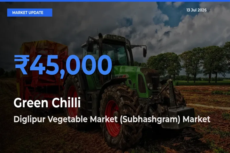 Diglipur Vegetable Market (Subhashgram) Emerges as Top Mandi for Green Chilli Prices Today