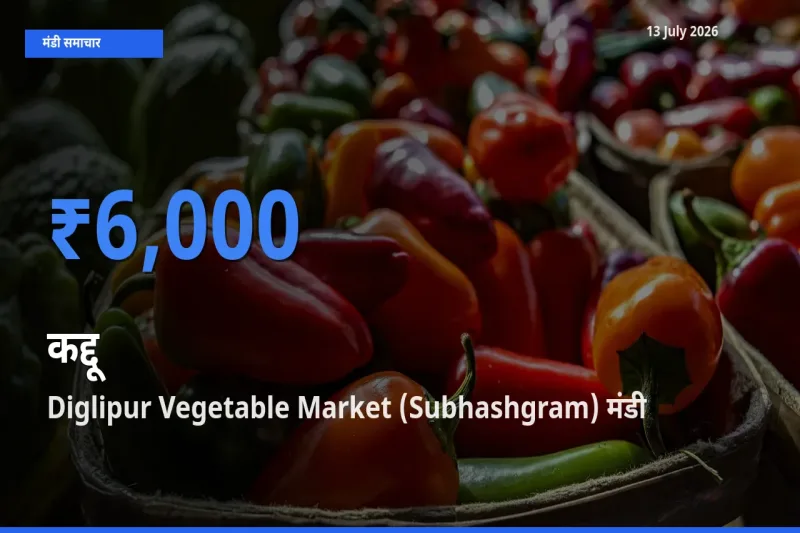 बाज़ार संकेत: Diglipur Vegetable Market (Subhashgram) बना कद्दू के लिए आज की टॉप मंडी