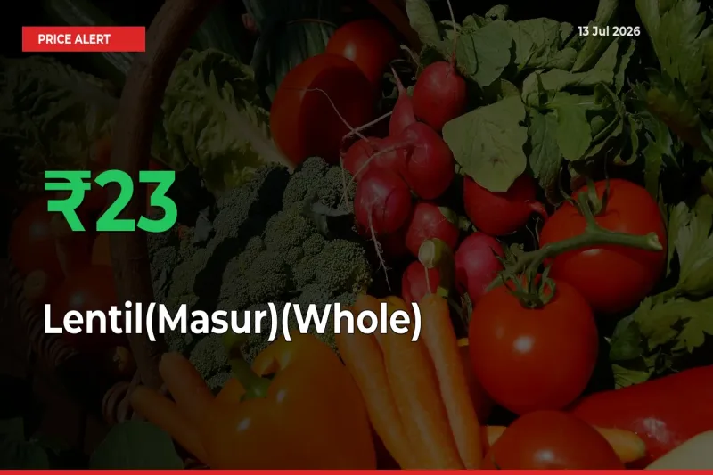 Lentil(Masur)(Whole) Rises 23.43% at Mandis